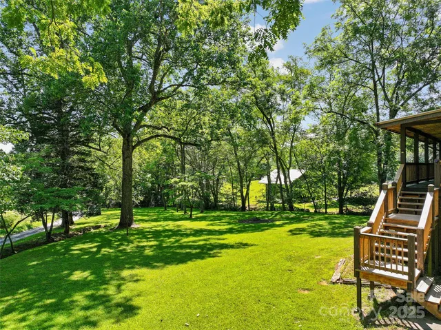 a view of a park with large trees