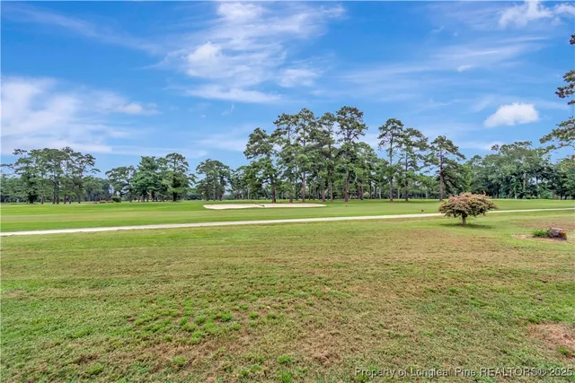 a view of a field with ocean view