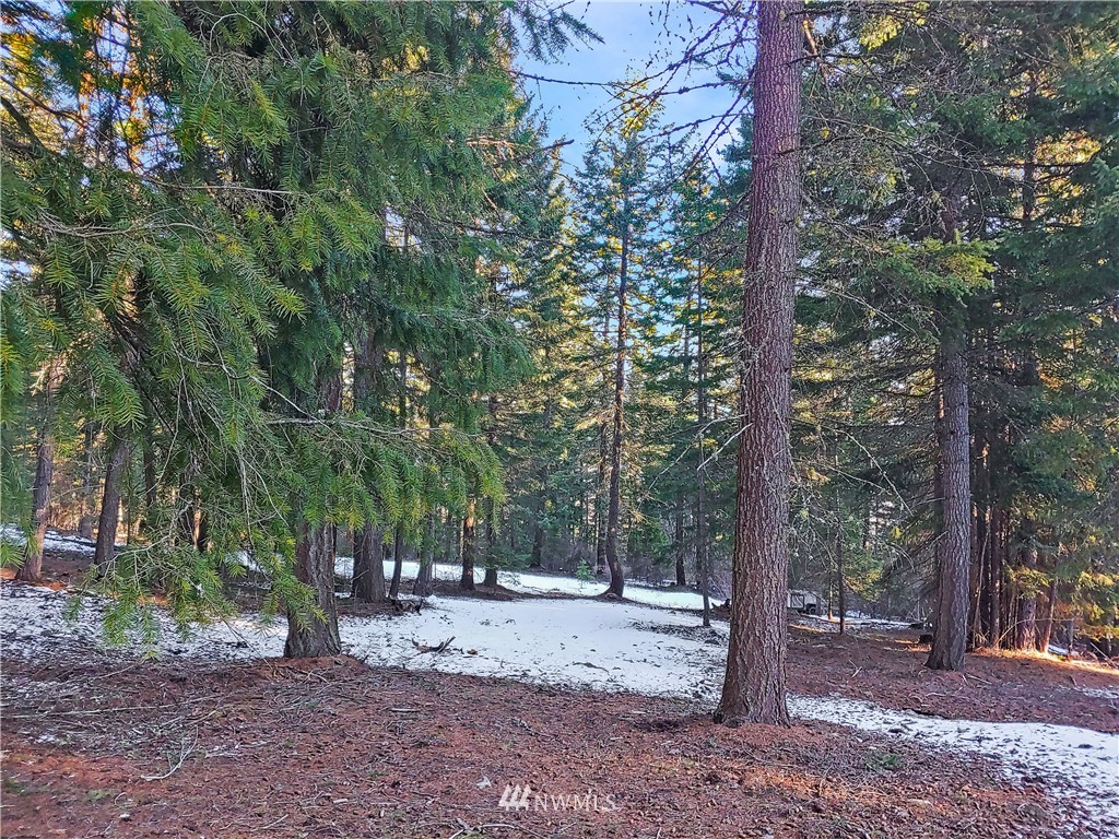 1331 Alice Road Cle Elum, WA 98922 - Photo 30 of 34 Gallery Image 30