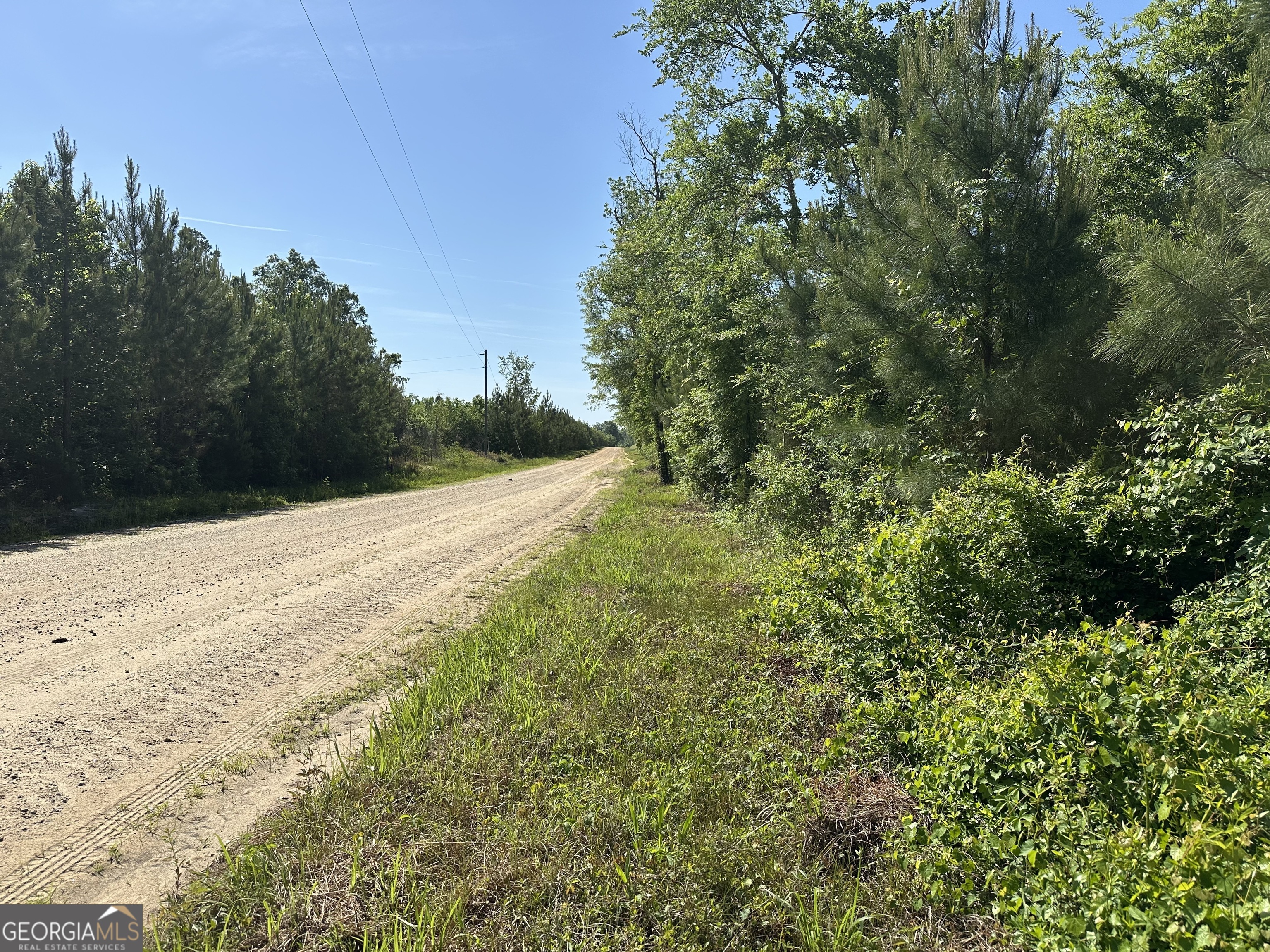 1 Pine Hill Church Road Waynesboro, GA 30830 - Photo 3 of 8