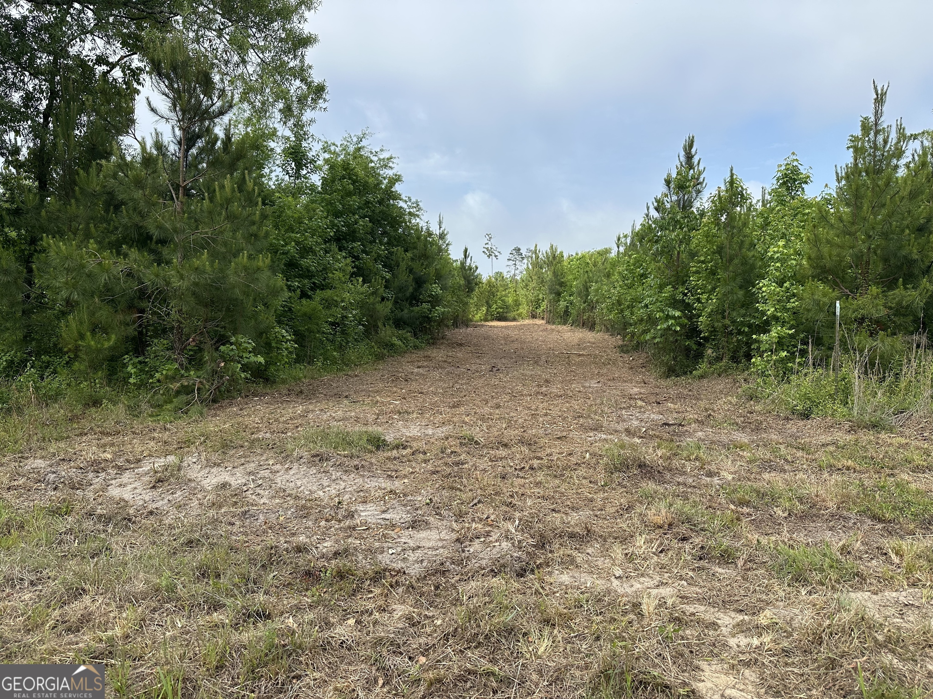 1 Pine Hill Church Road Waynesboro, GA 30830 - Photo 5 of 8