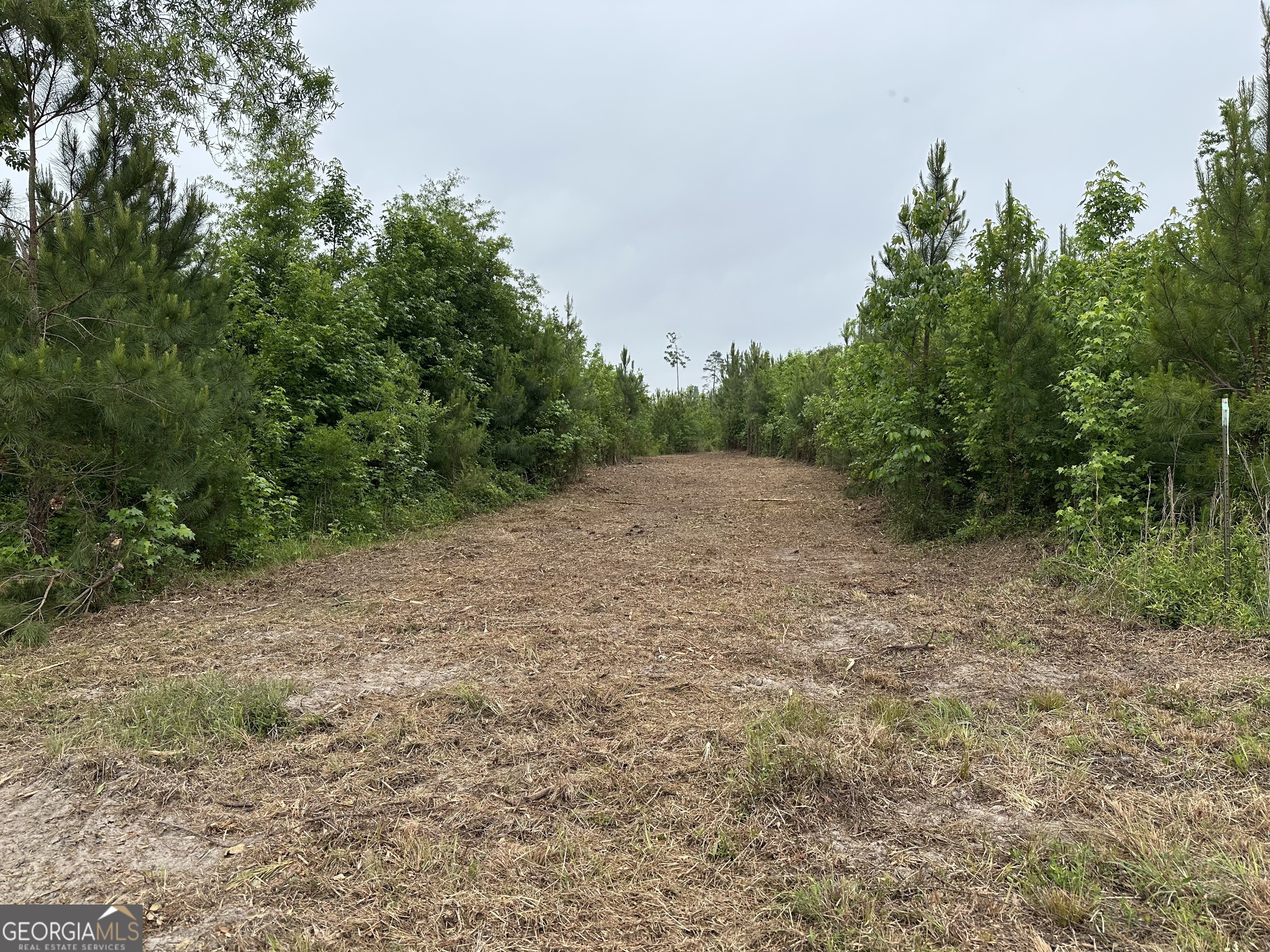 1 Pine Hill Church Road Waynesboro, GA 30830 - Photo 6 of 8