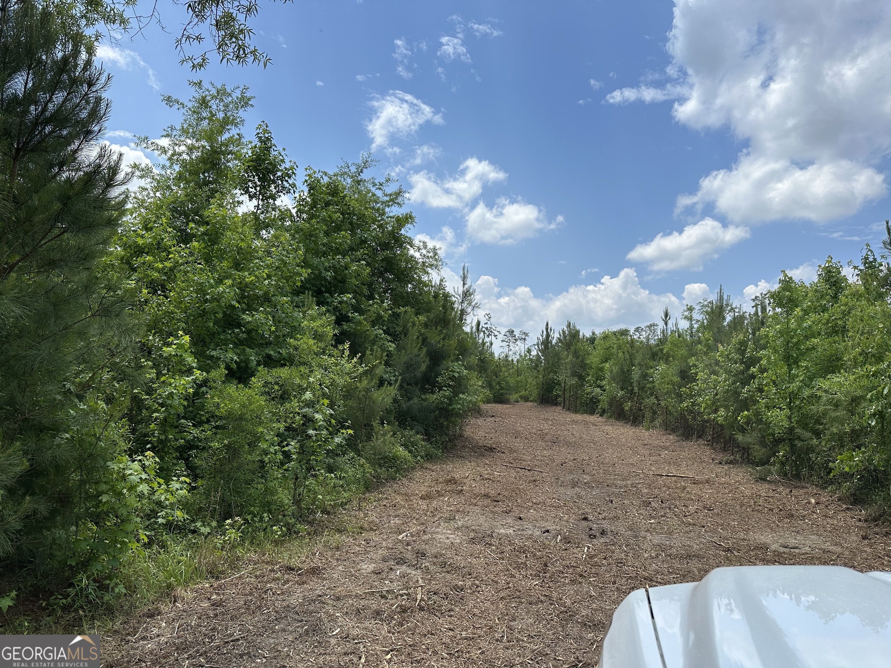 1 Pine Hill Church Road Waynesboro, GA 30830 - Photo 7 of 8