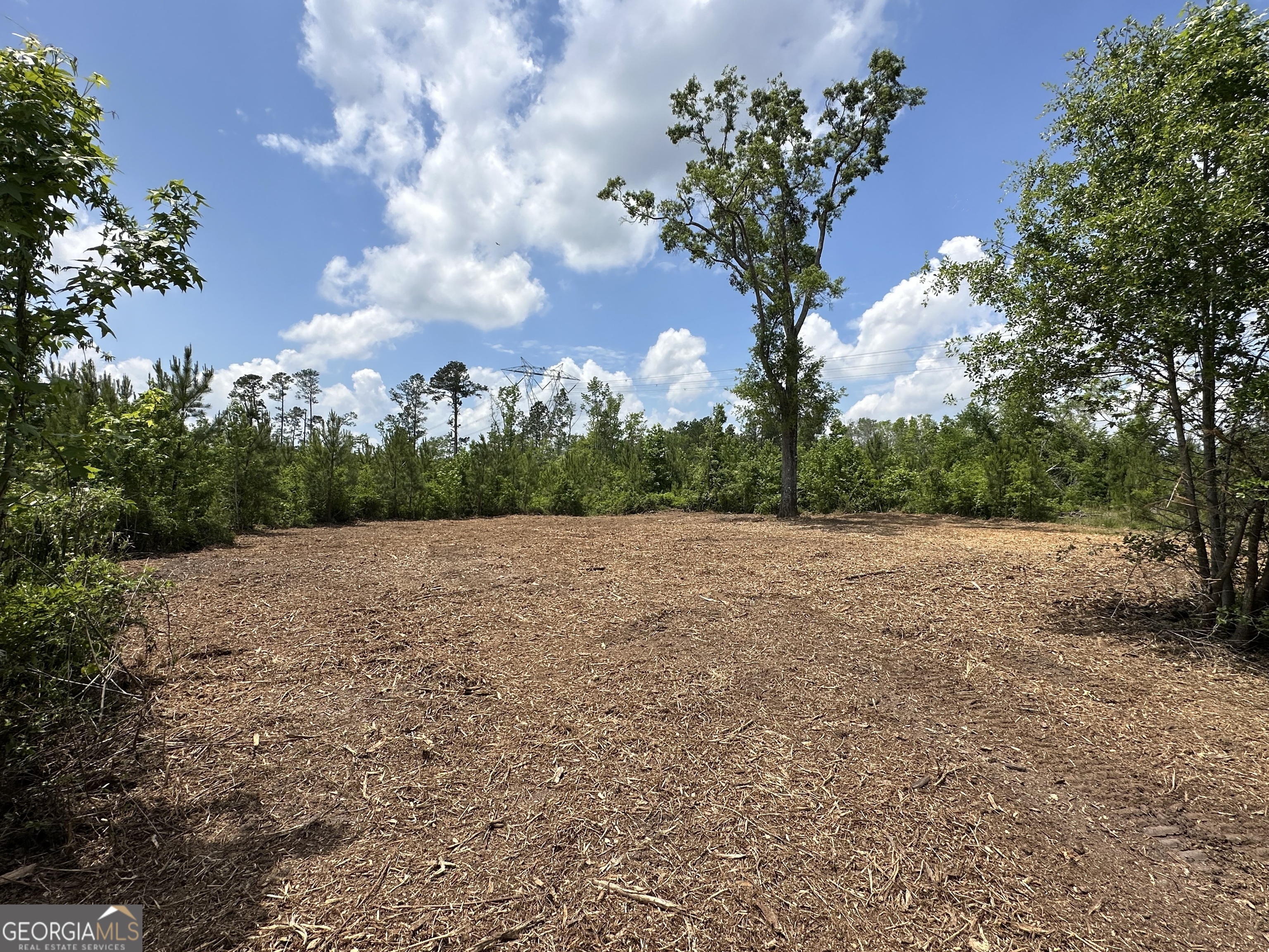 1 Pine Hill Church Road Waynesboro, GA 30830 - Photo 8 of 8