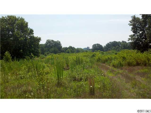 a open area with grassy field and trees