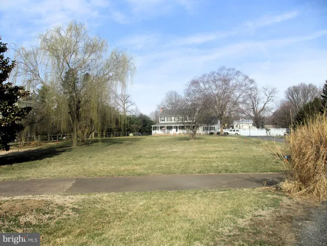 a view of a yard with large trees