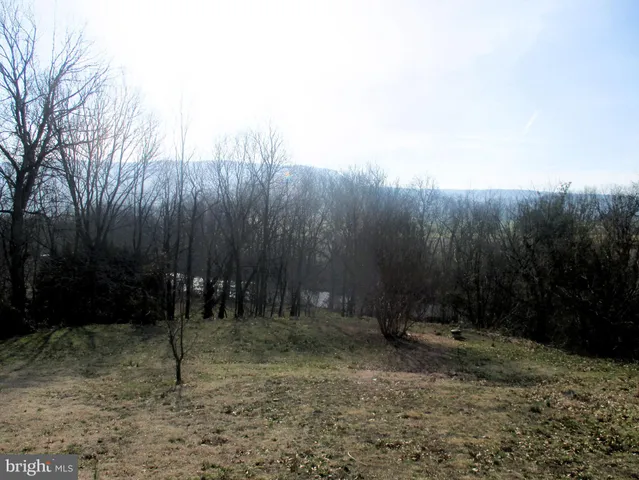 a view of a field with an ocean