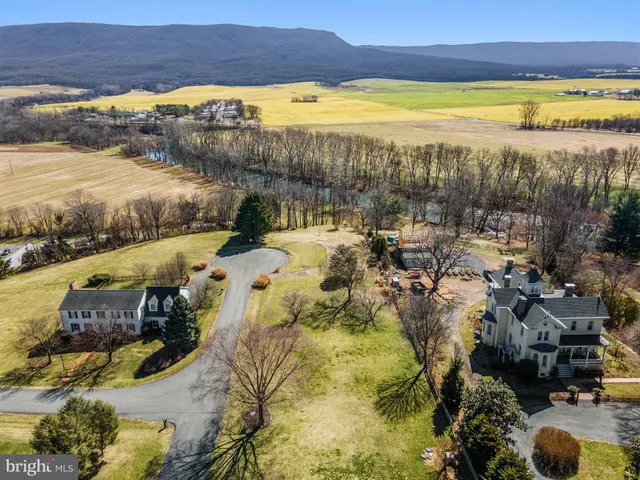 a view of yard with trees