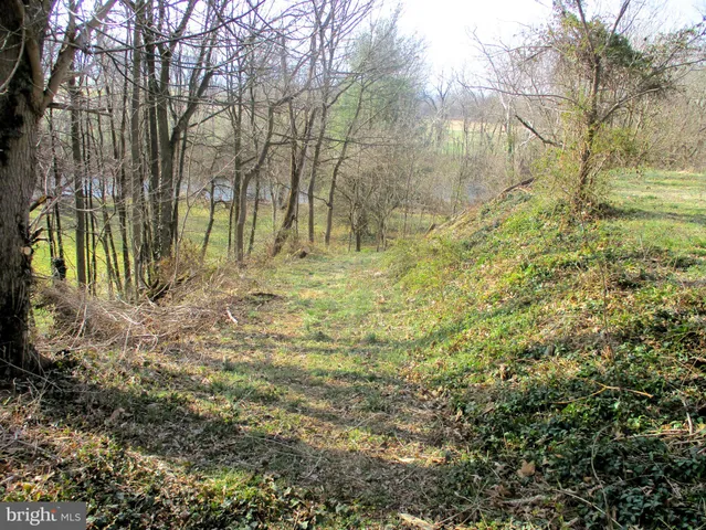 a view of backyard with green space