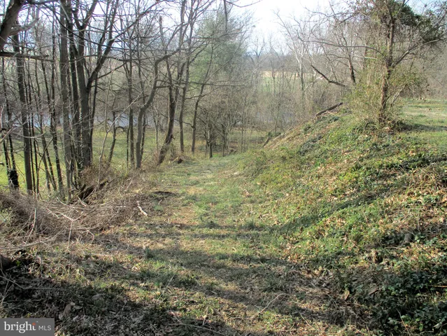 a view of backyard with green space