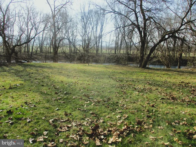 a view of outdoor space with trees all around