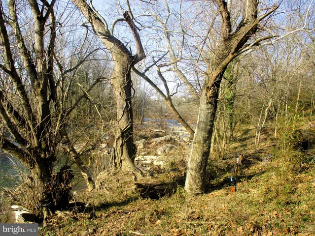 a view of a field with an trees