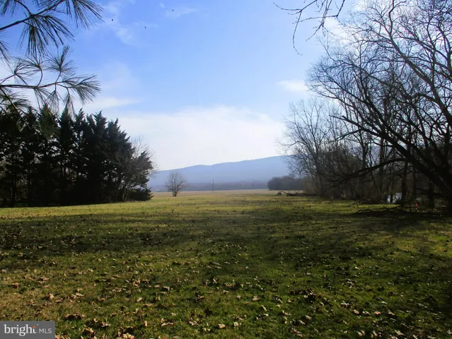 a view of outdoor space with garden