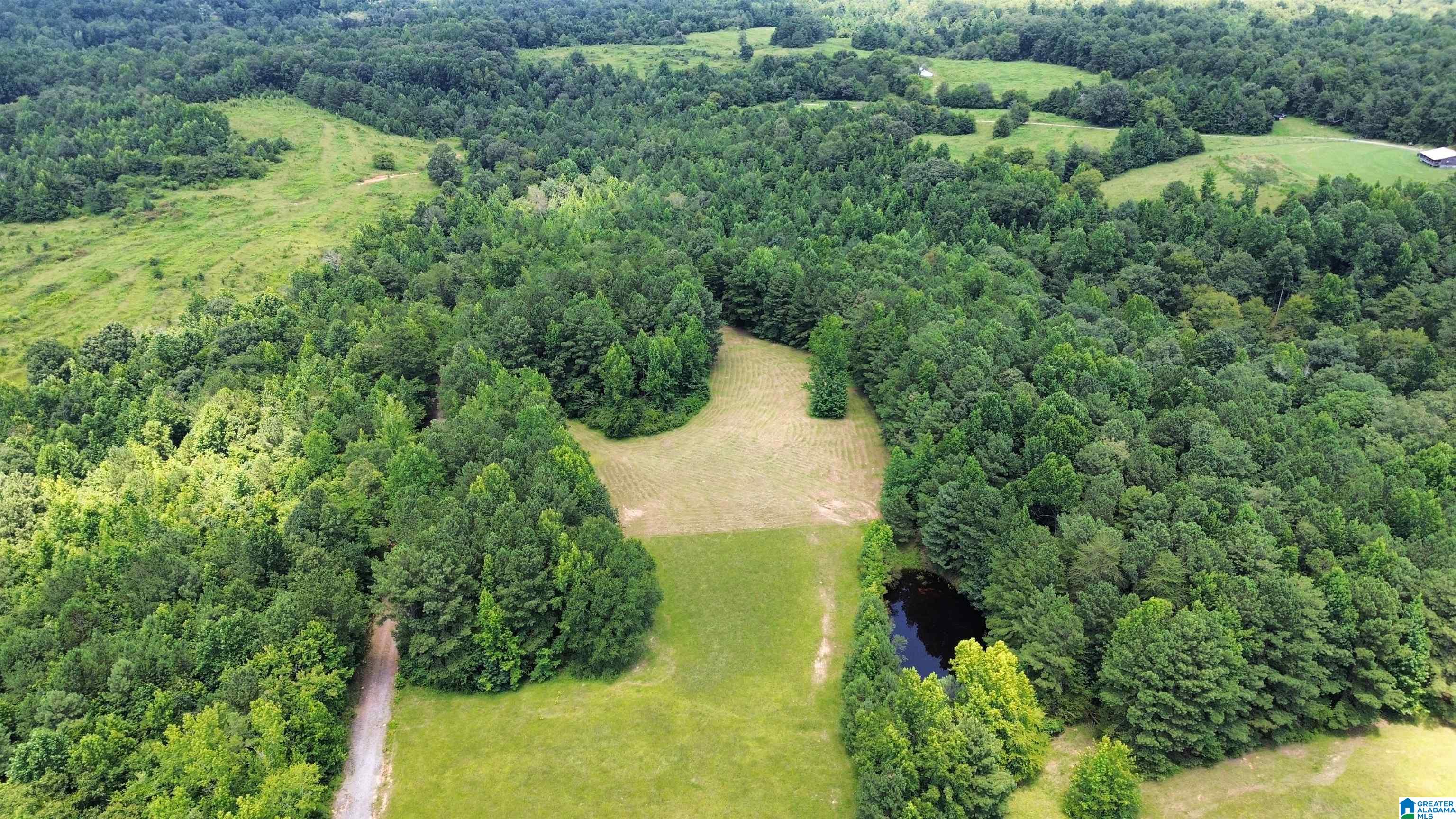 0 Hollow Creek Road, Unit 13 45 Hayden, AL 35079 - Photo 7 of 8
