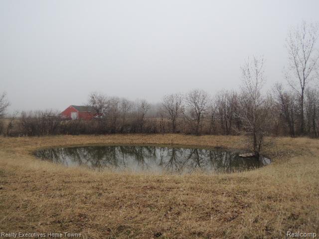 36900 Weber Road Richmond, MI 48062 - Photo 21 of 21 Case # 261-935805 Pond.jpg