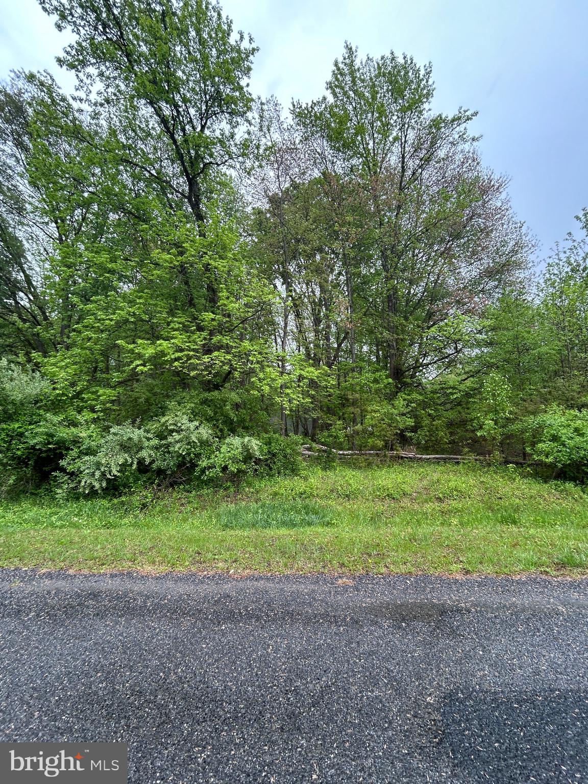Kinglet Road Chestertown, MD 21620 - Photo 2 of 2 a view of a yard with a trees