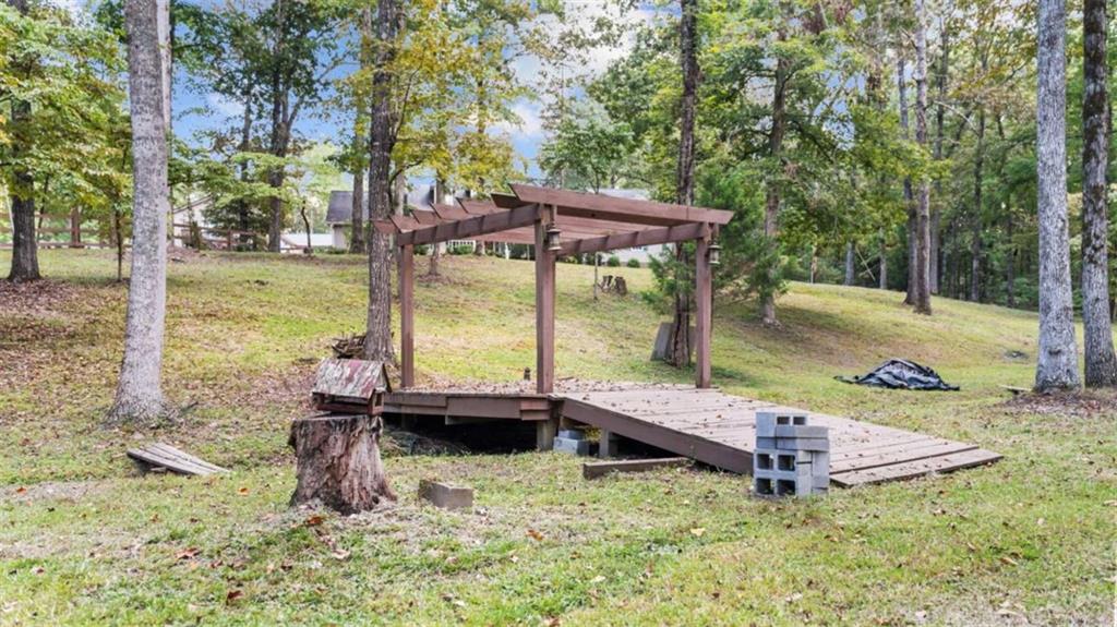 733 Unity Church Road Summerville, GA 30747 - Photo 36 of 75