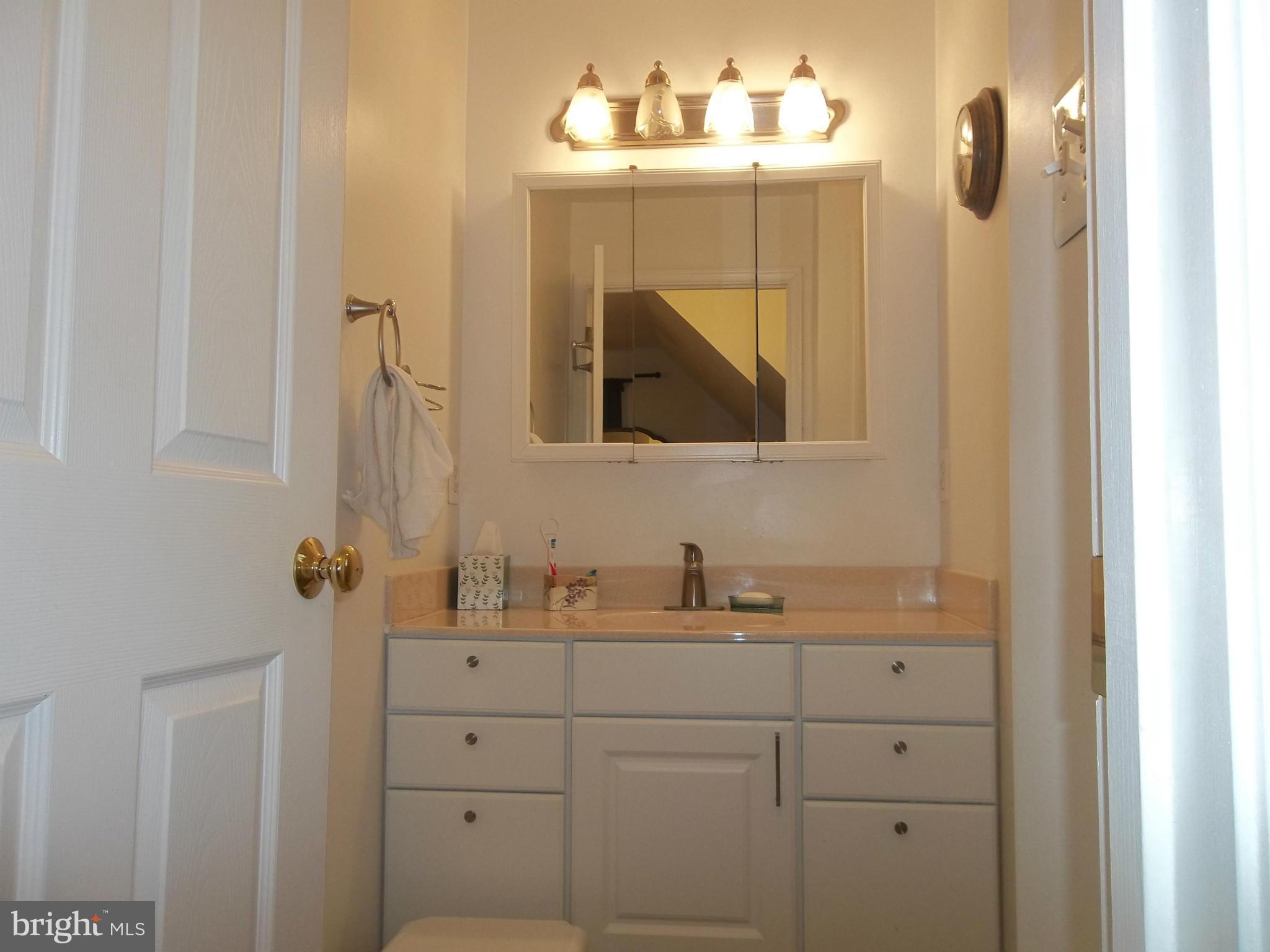 190 Hickory Road Front Royal, VA 22630 - Photo 24 of 27 Bath (Master)