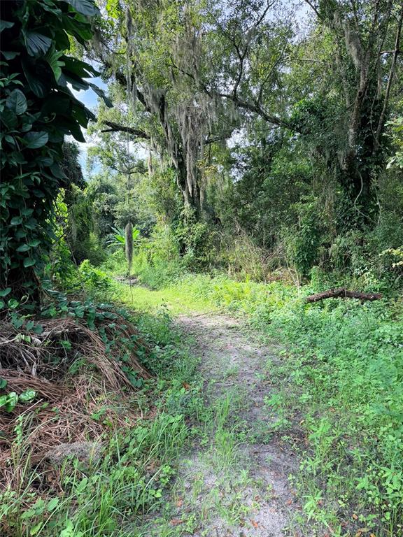 3216 Jack Jones Road Wauchula, FL 33873 - Photo 71 of 78 Gallery Image 71