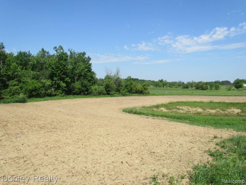 9999 Phillips Road Clifford, MI 48727 - Photo 8 of 12