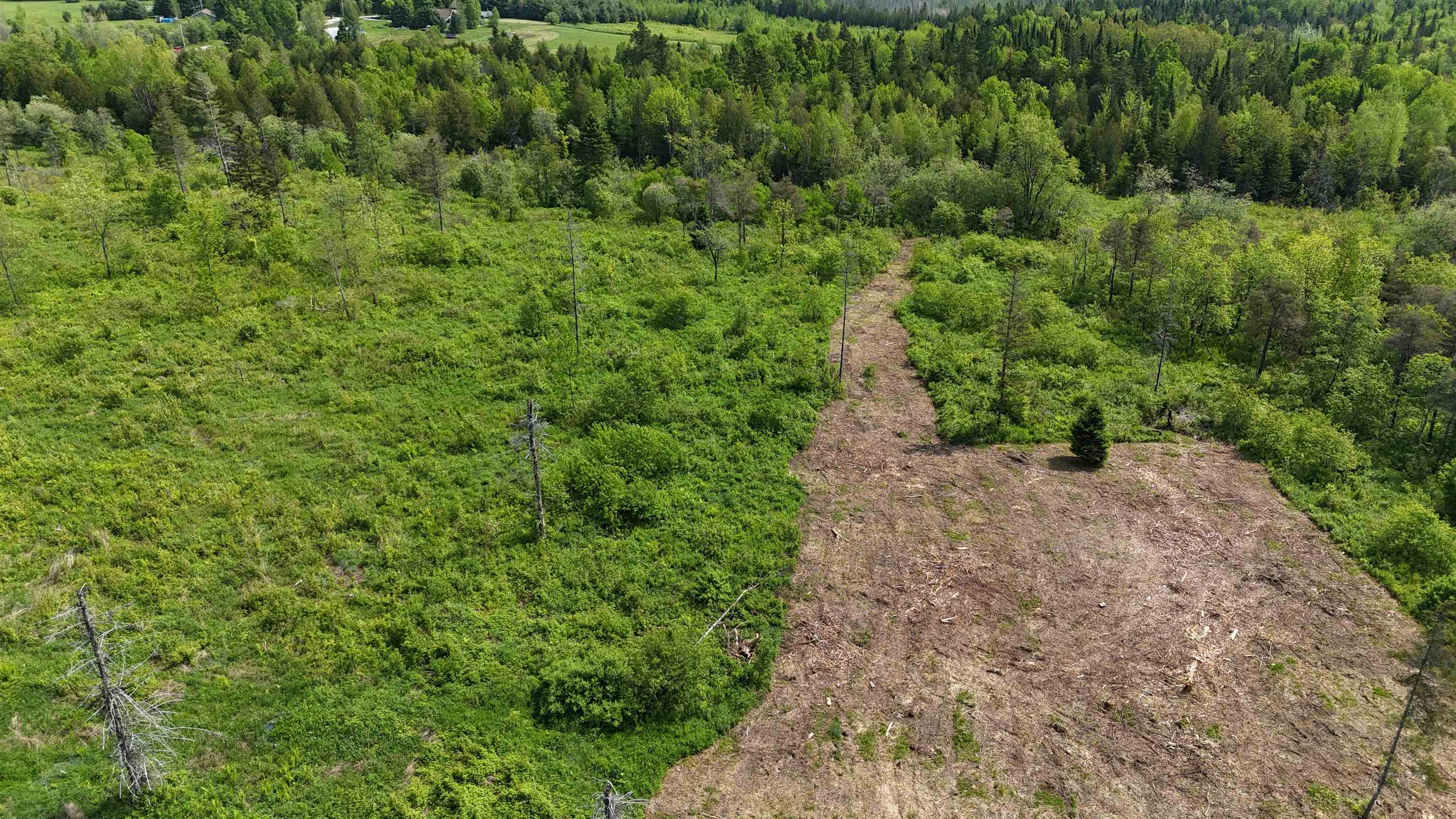 0 Chilafoux Road Orleans, VT 05860 - Photo 15 of 56