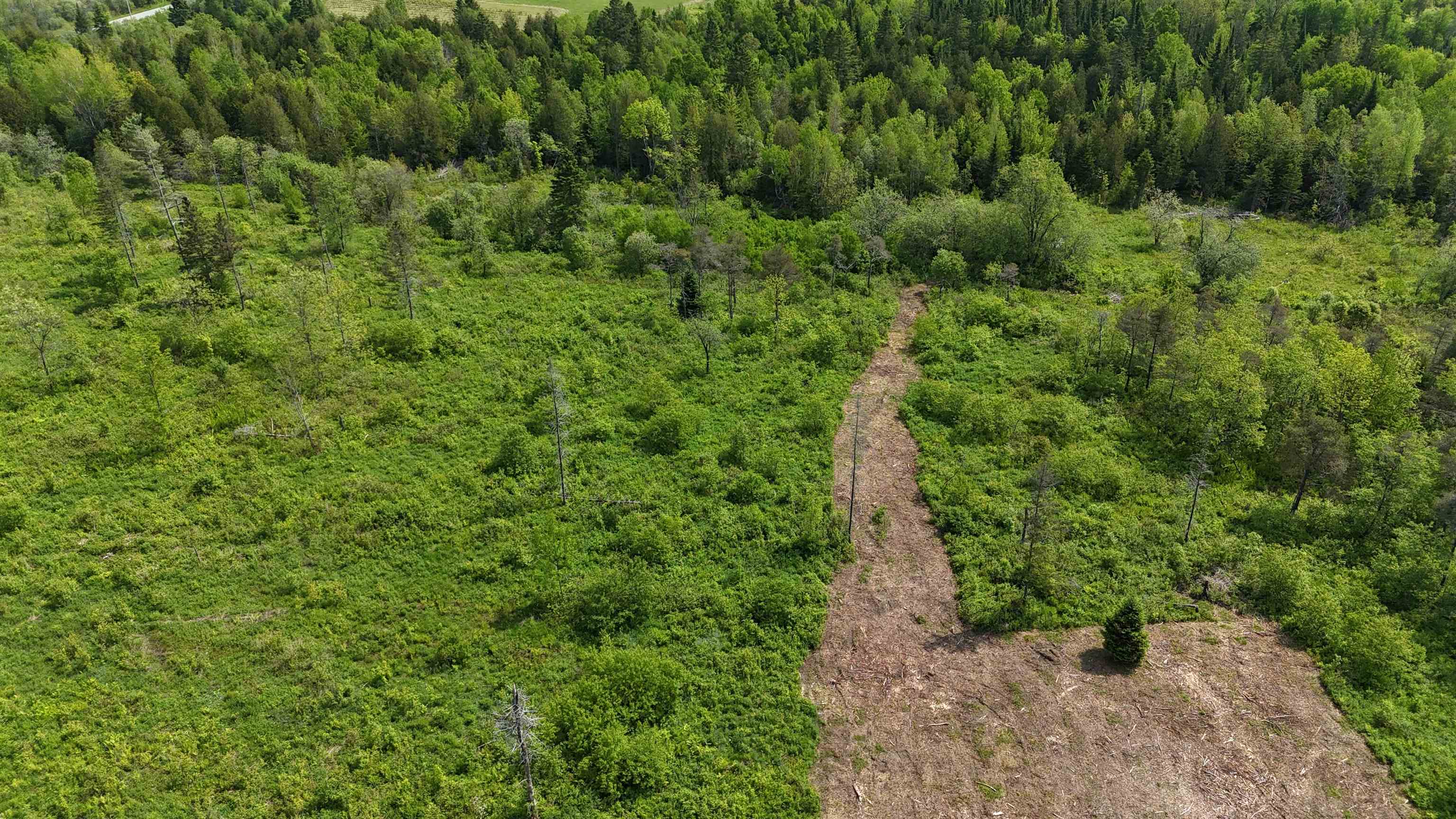 0 Chilafoux Road Orleans, VT 05860 - Photo 17 of 56