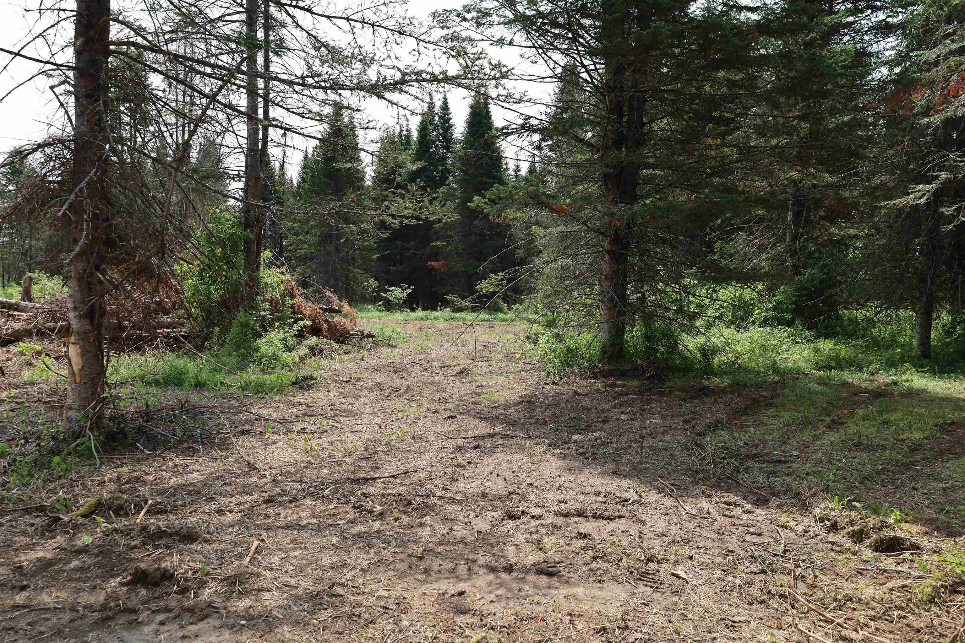0 Chilafoux Road Orleans, VT 05860 - Photo 19 of 56