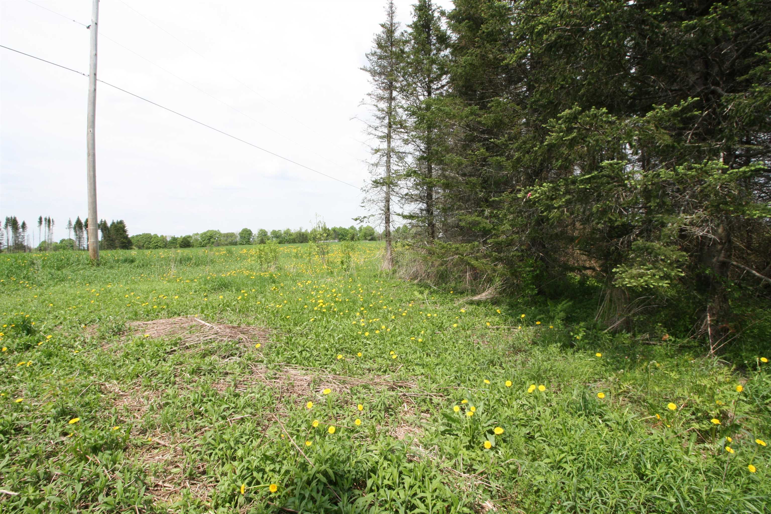 0 Chilafoux Road Orleans, VT 05860 - Photo 26 of 56