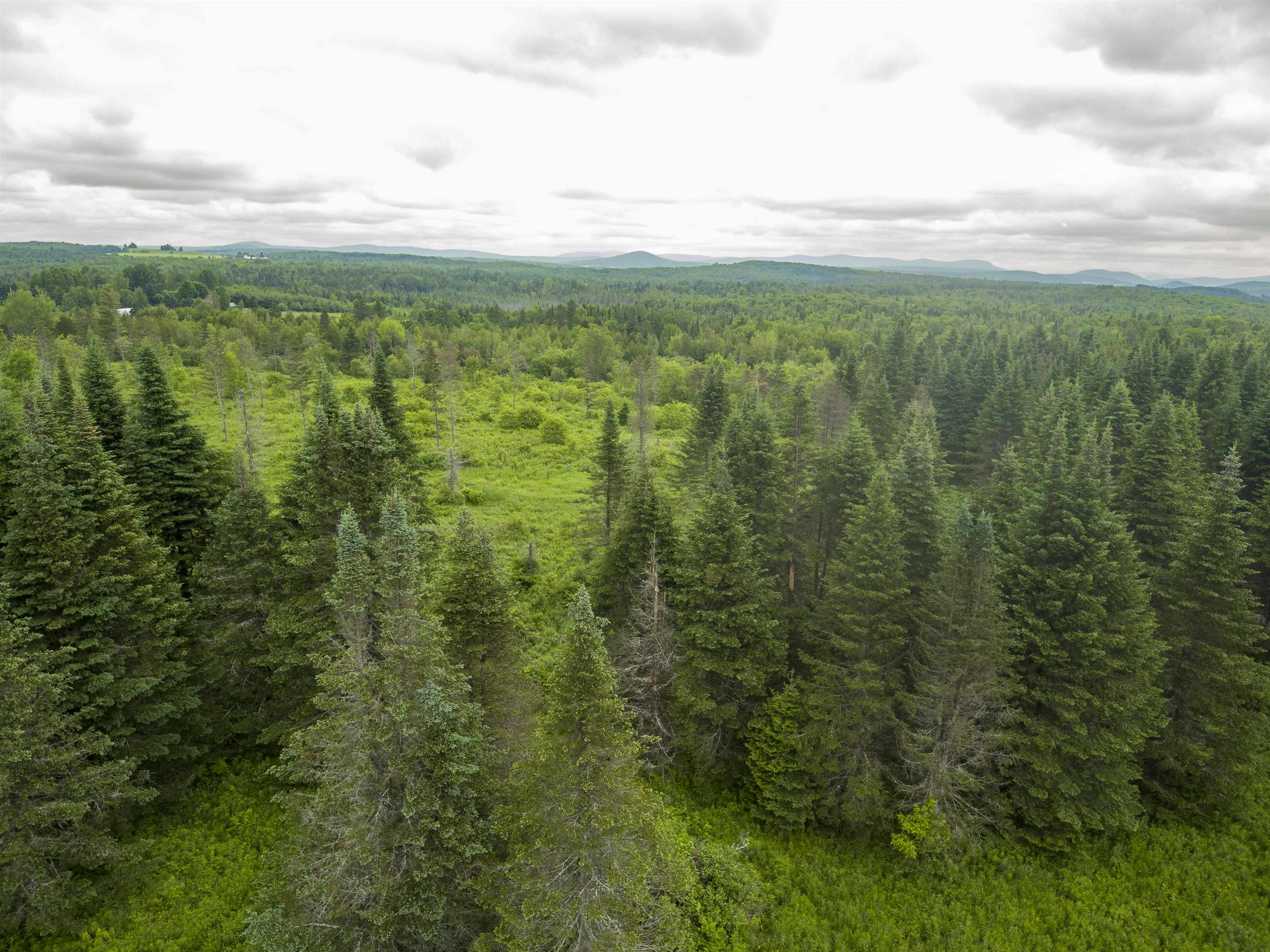 0 Chilafoux Road Orleans, VT 05860 - Photo 28 of 56