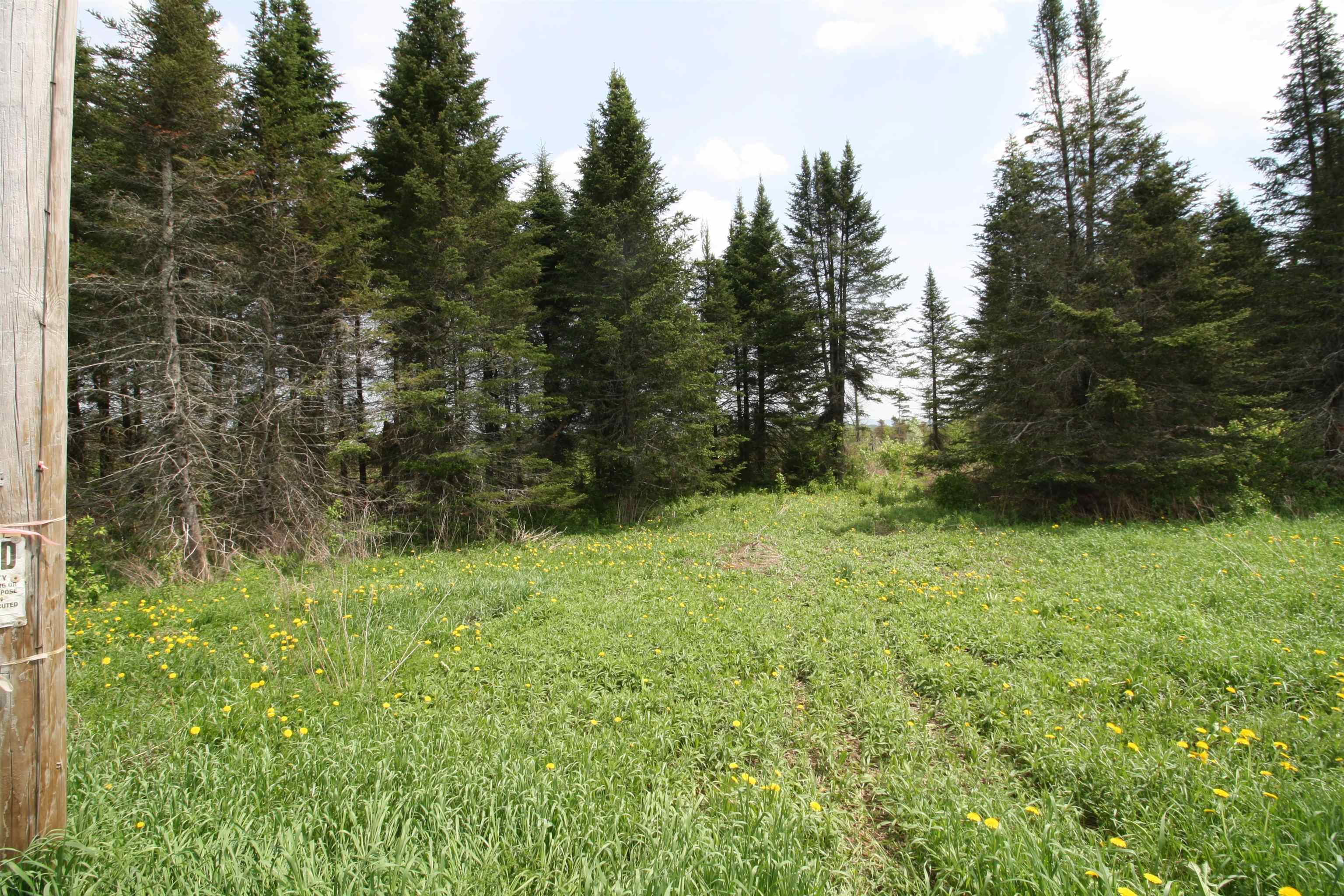 0 Chilafoux Road Orleans, VT 05860 - Photo 29 of 56