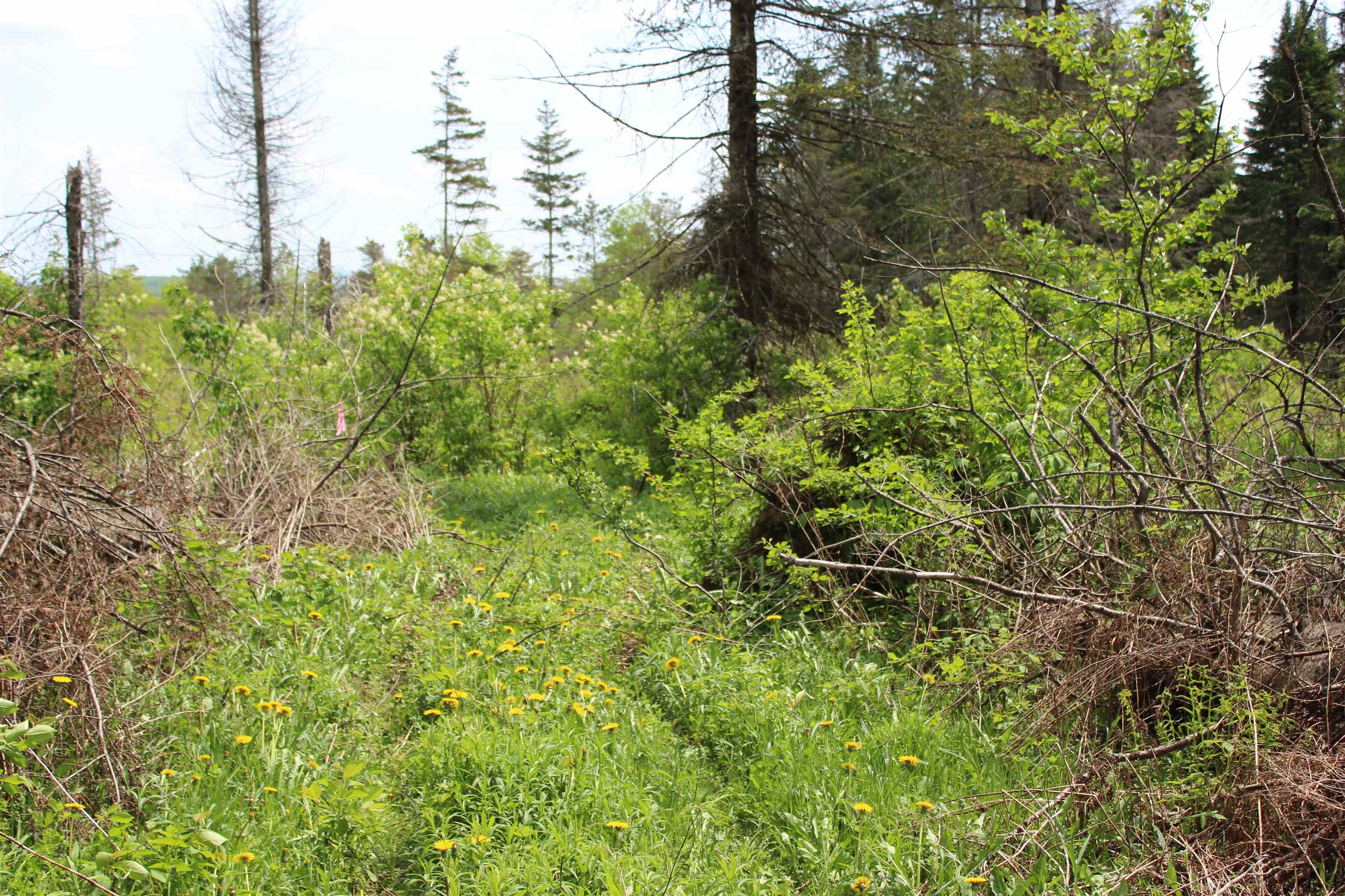 0 Chilafoux Road Orleans, VT 05860 - Photo 53 of 56