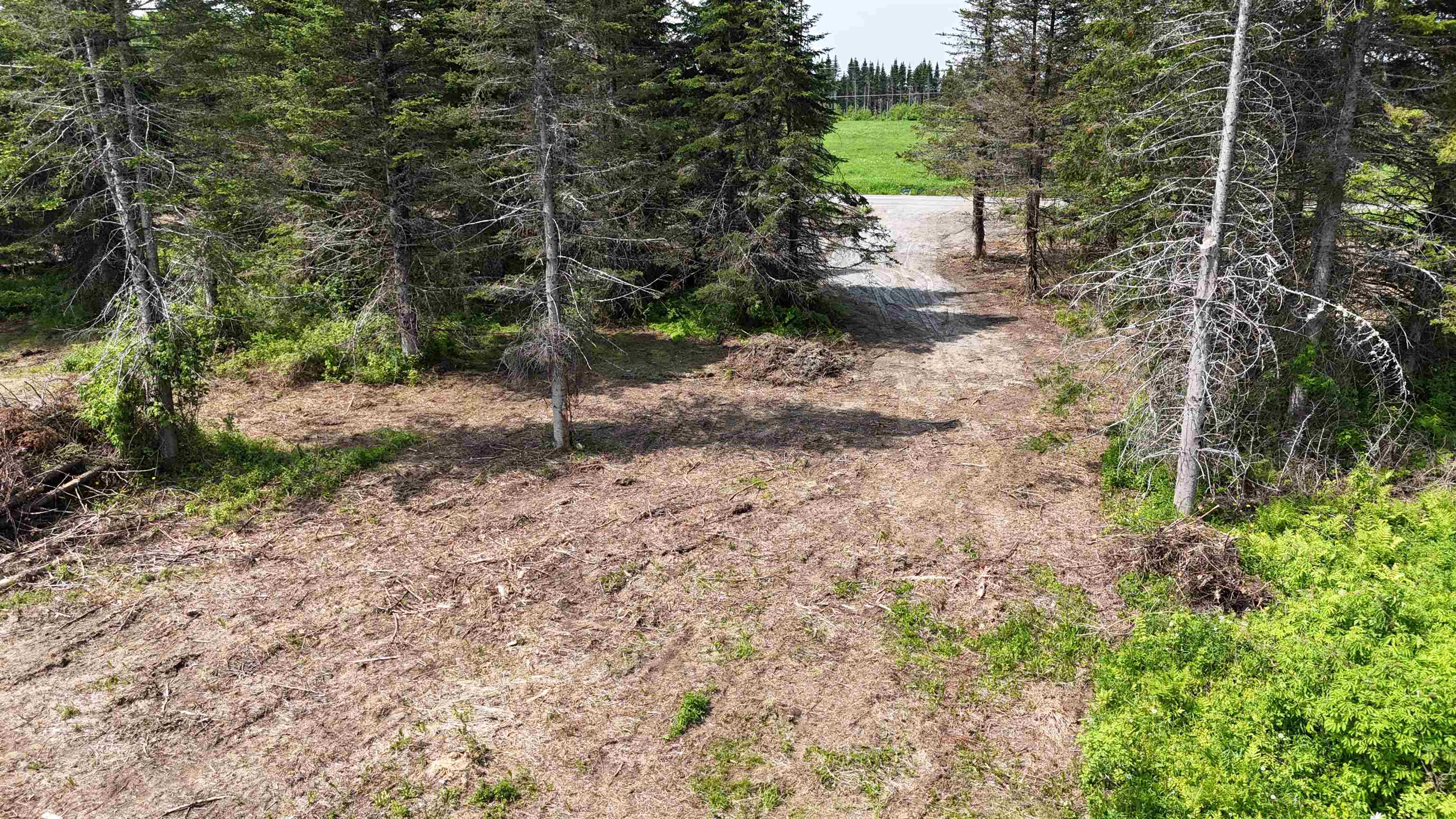 0 Chilafoux Road Orleans, VT 05860 - Photo 6 of 56