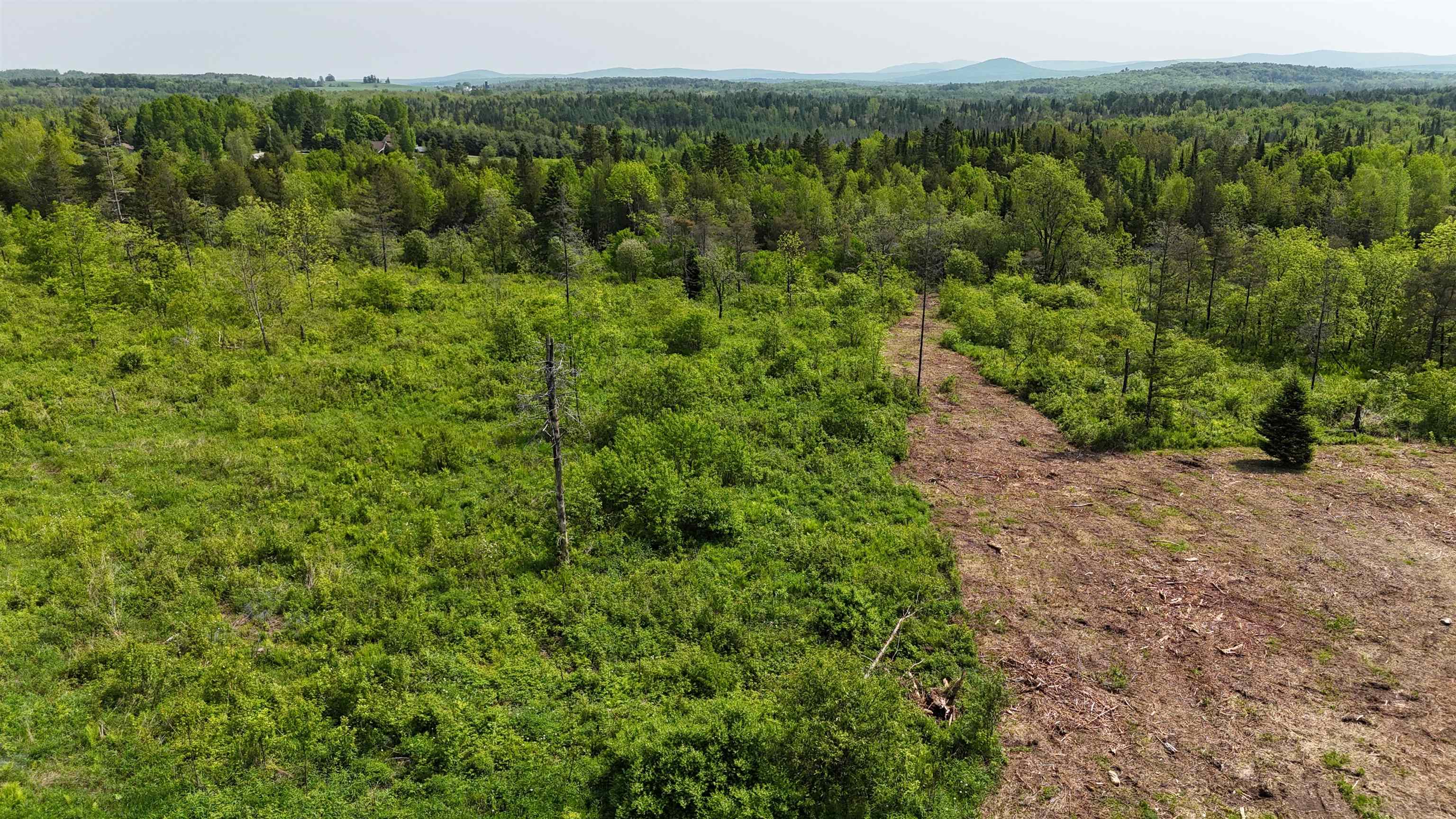 0 Chilafoux Road Orleans, VT 05860 - Photo 7 of 56
