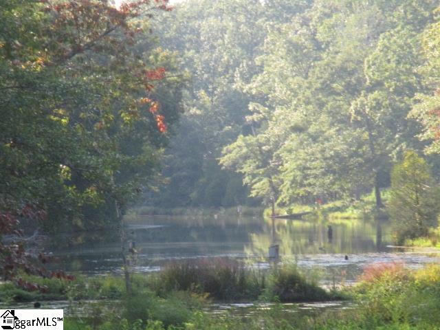 1905 McKelvey Road Fountain Inn, SC 29644 - Photo 10 of 40 Gallery Image 10