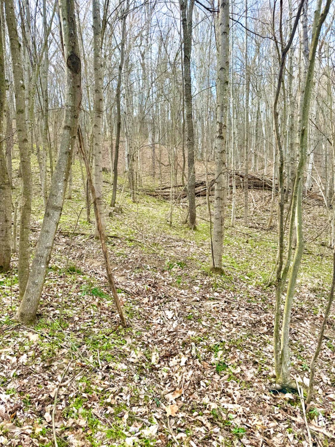 0 Fyffe Hollow Road Chillicothe, OH 45601 - Photo 26 of 96
