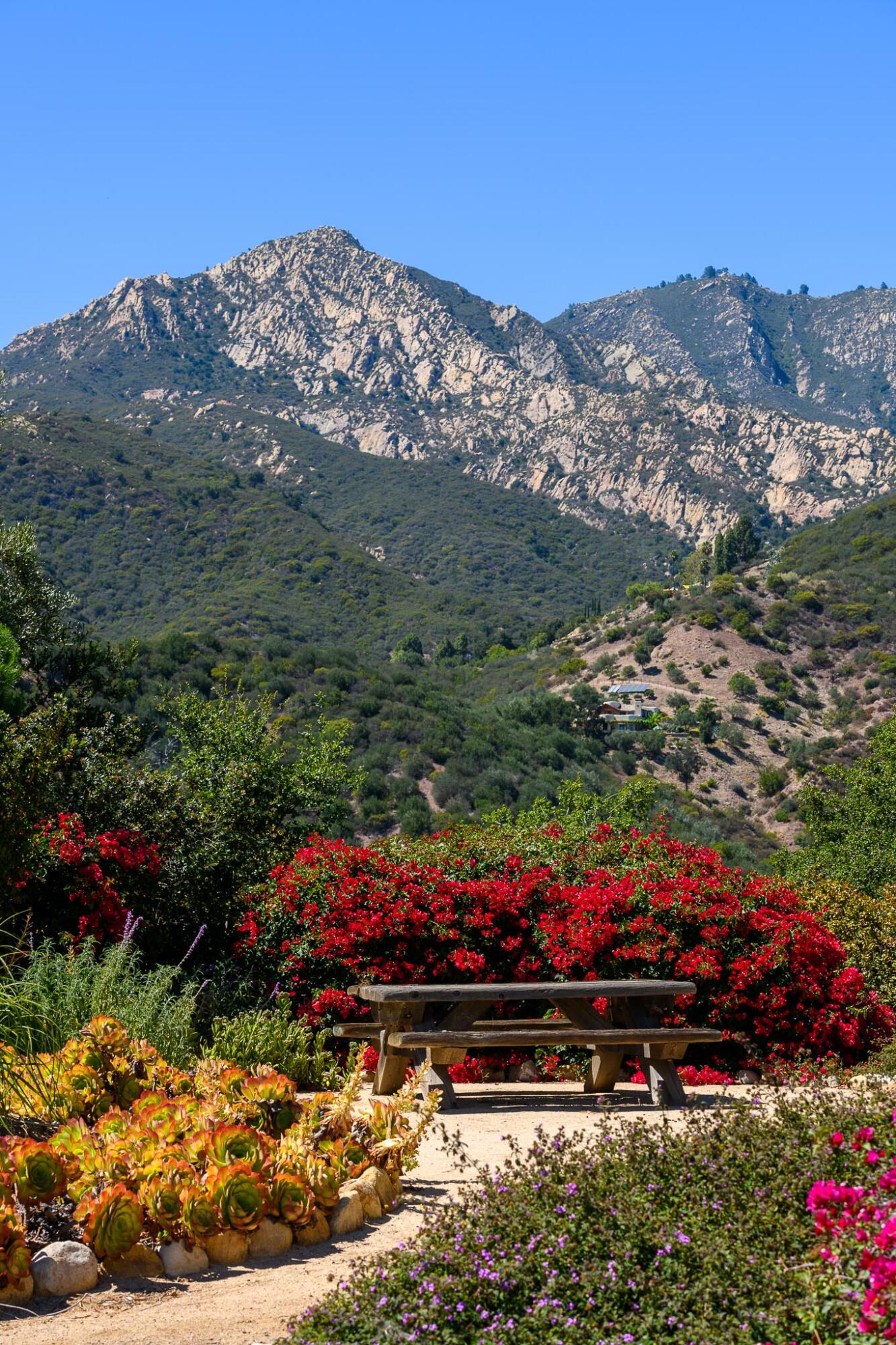 2040 Las Canoas Ridge Way Santa Barbara, CA 93105 - Photo 38 of 57 Picnic table view