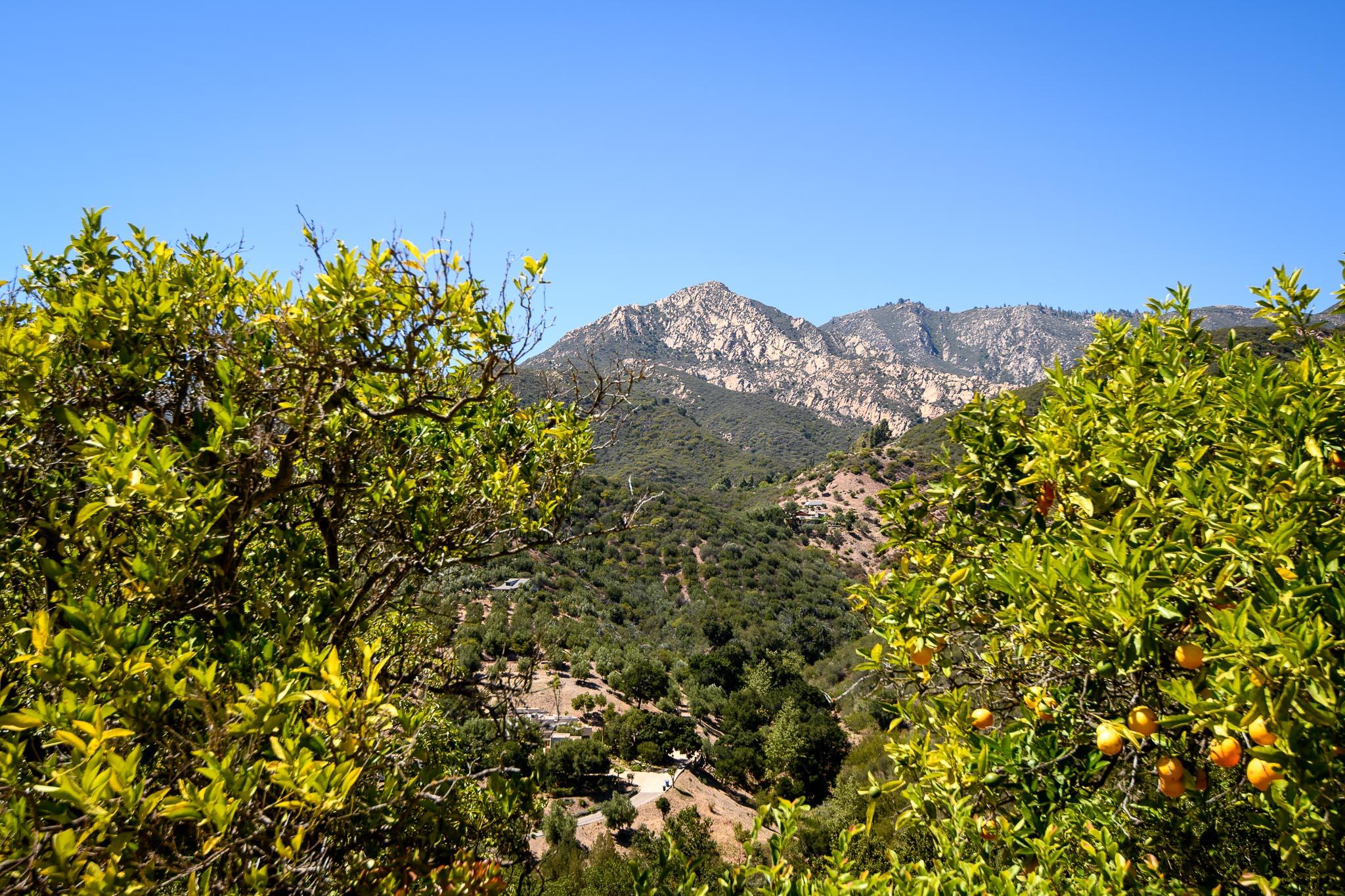 2040 Las Canoas Ridge Way Santa Barbara, CA 93105 - Photo 43 of 57 View