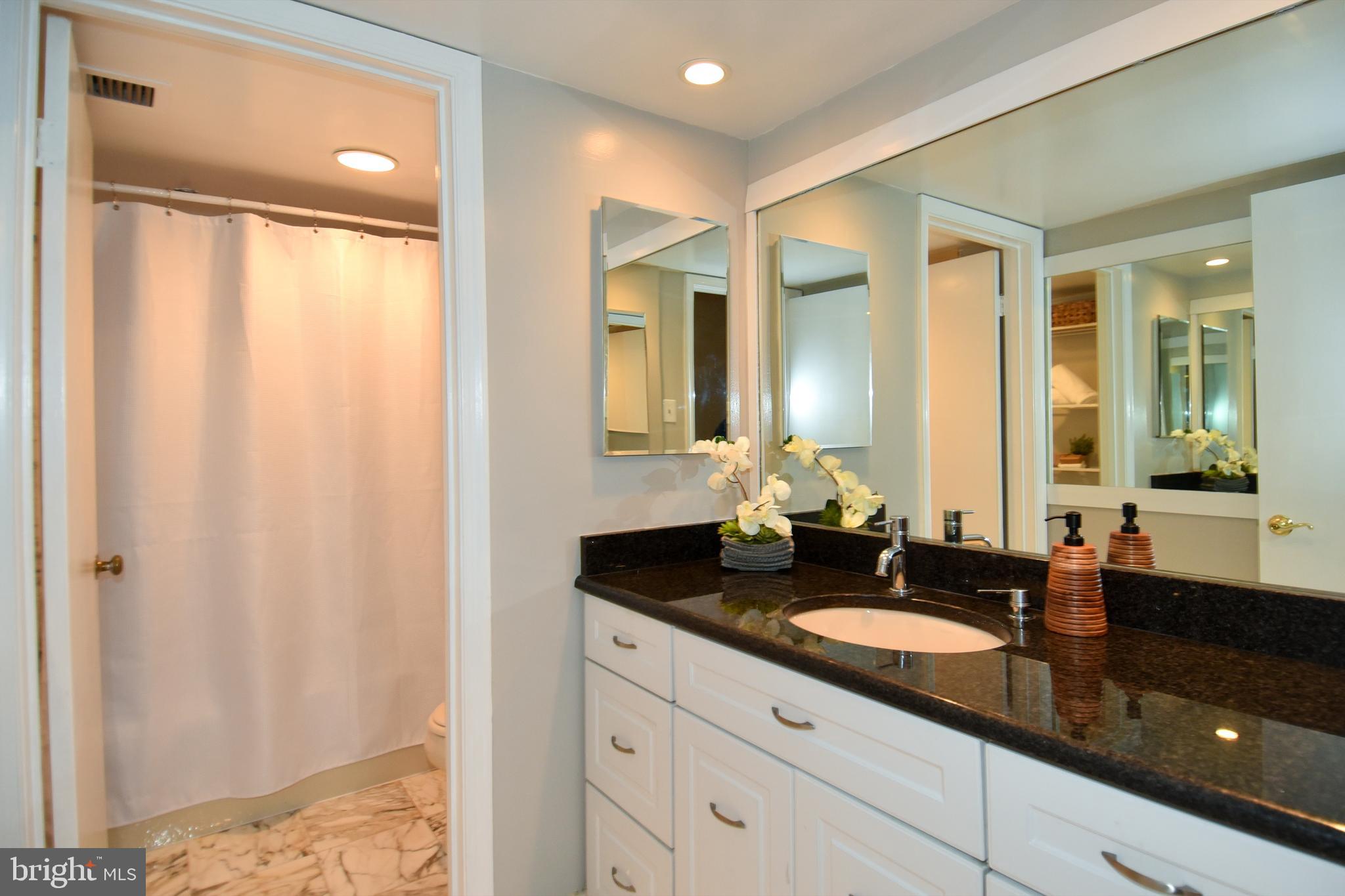 1101 South Arlington Ridge Road, Unit 305 Arlington, VA 22202 - Photo 28 of 57 Primary Bath