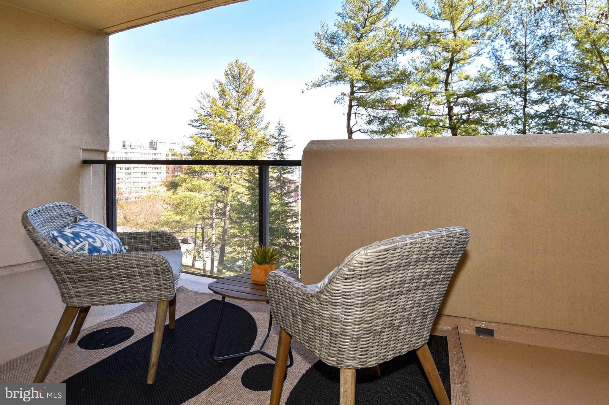 1101 South Arlington Ridge Road, Unit 305 Arlington, VA 22202 - Photo 38 of 57 Balcony