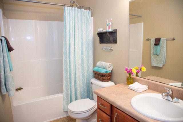 21521 Shadowbrook Street Robertsdale, AL 36567 - Photo 8 of 18 Master Bath