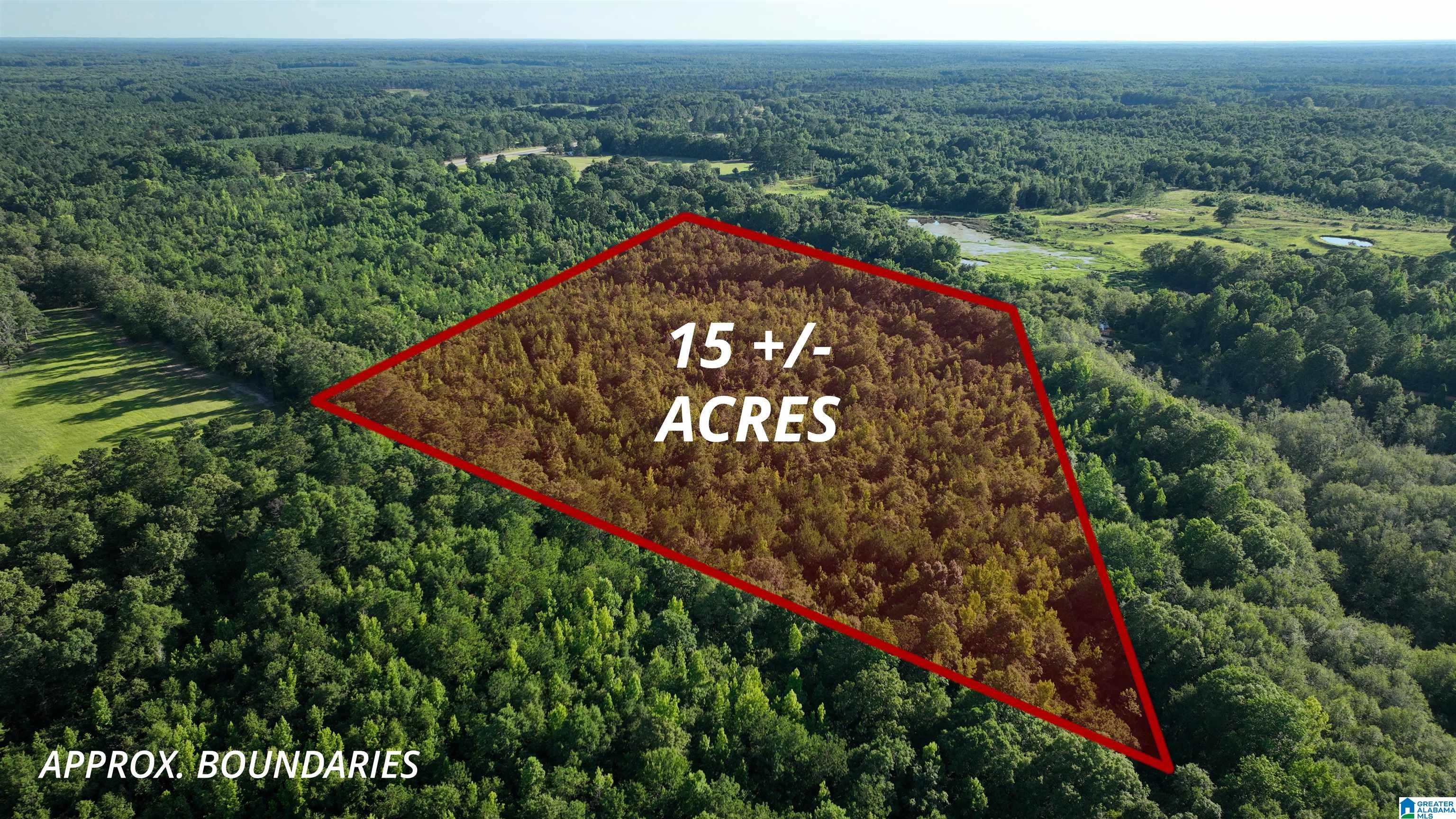 0 County Road 81, Unit 1 Tuskegee, AL 36083 - Photo 1 of 13