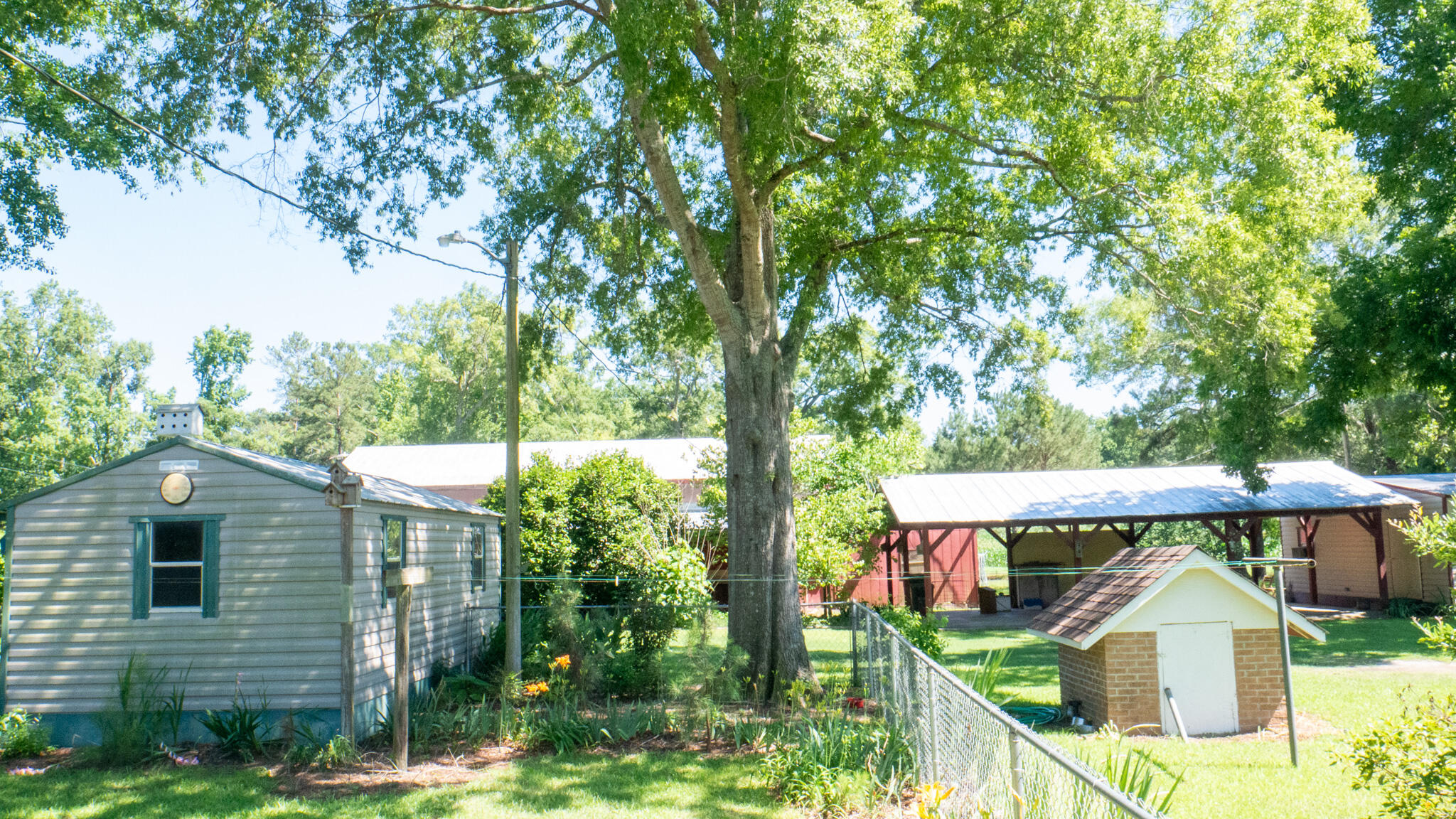 3758 Altman Road Hampton, SC 29924 - Photo 45 of 55 P1090444