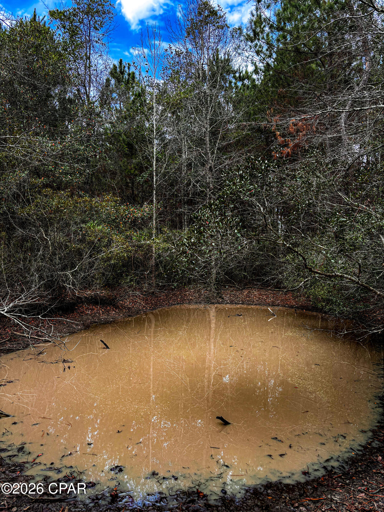 0 Hwy 77 Chipley Chipley, FL 32428 - Photo 5 of 23