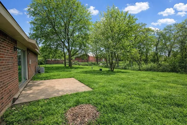 a backyard of a house with plants and large tree