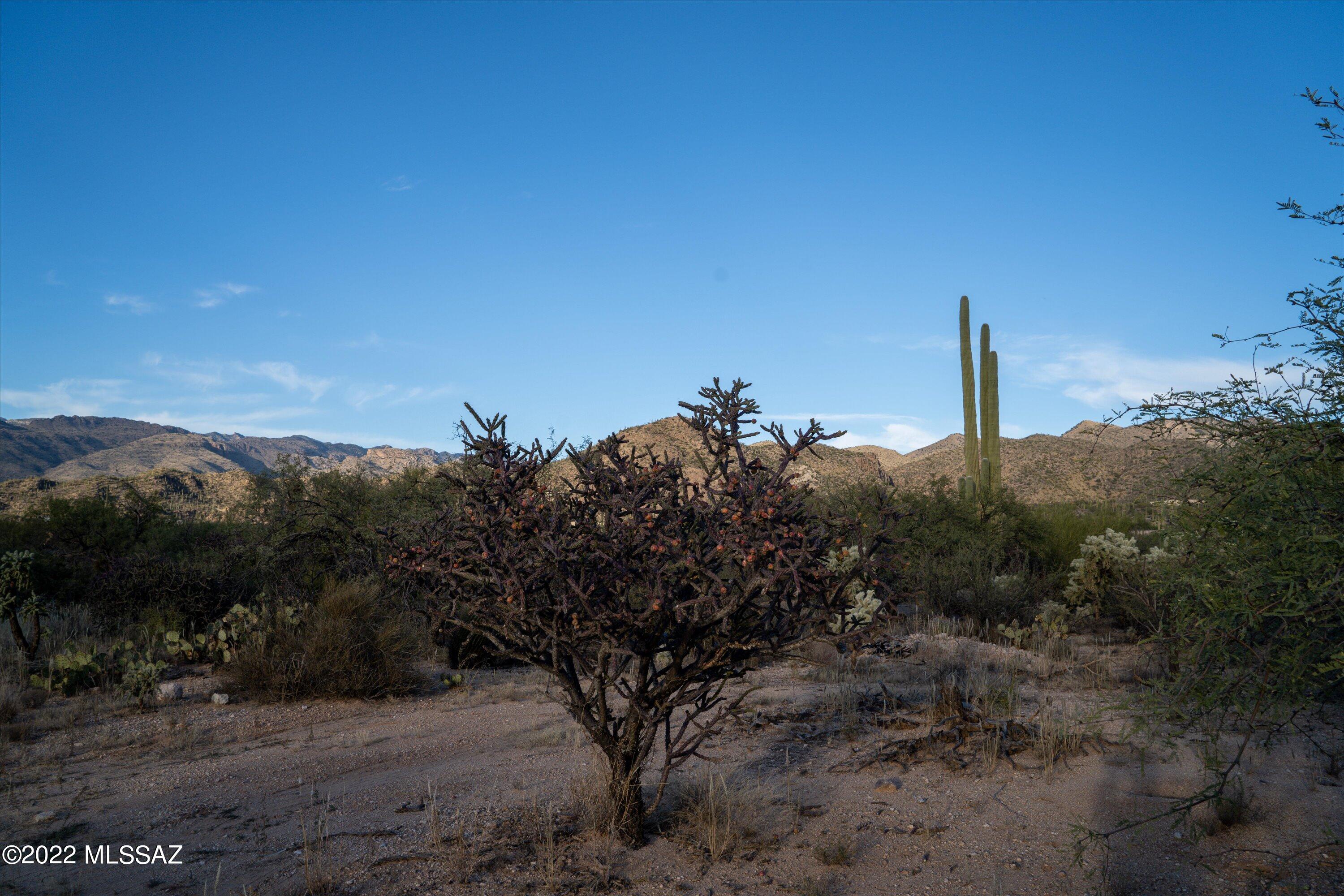 12803 East Nighthawk Ranch Place Tucson, AZ 85749 - Photo 12 of 23 Gallery Image 12