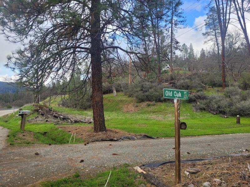 a view of a road with a tree in the background