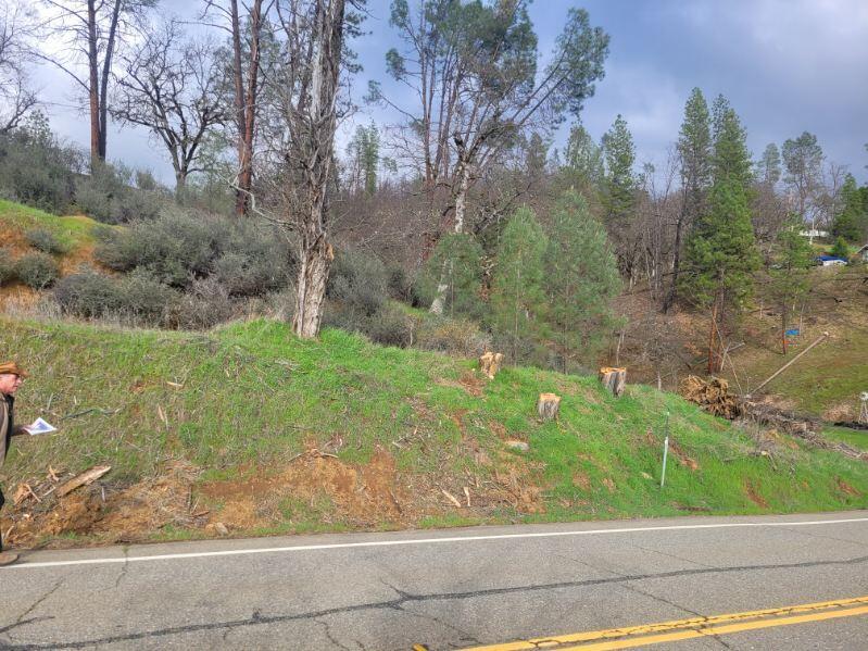 7541 Rush Creek Road Lewiston, CA 96052 - Photo 11 of 21 image000006