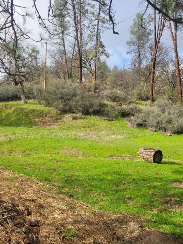 7541 Rush Creek Road Lewiston, CA 96052 - Photo 14 of 21 image000009