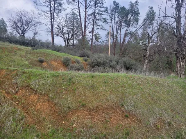 a view of outdoor space and yard