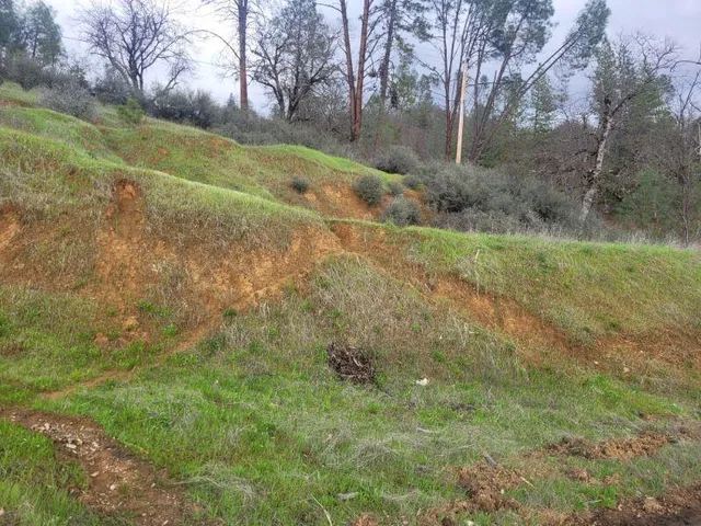 a view of a yard with a tree